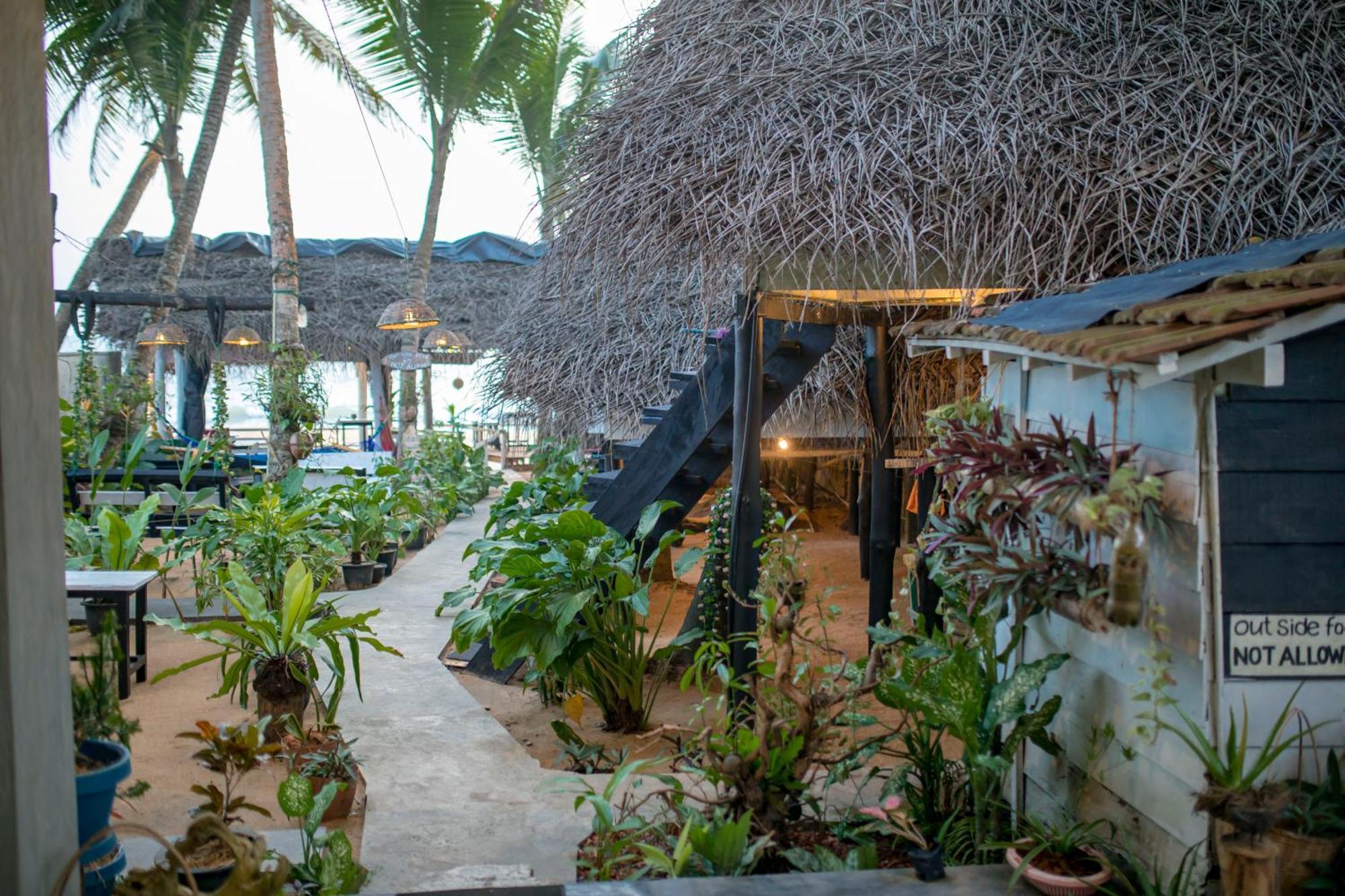 Oynise Beach Cabin กอลล์ ภายนอก รูปภาพ